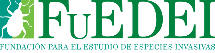 FuEDEI